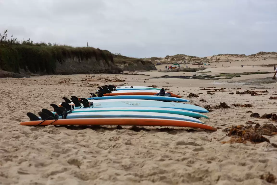 UM DIA DIFERENTE NO BALEAL